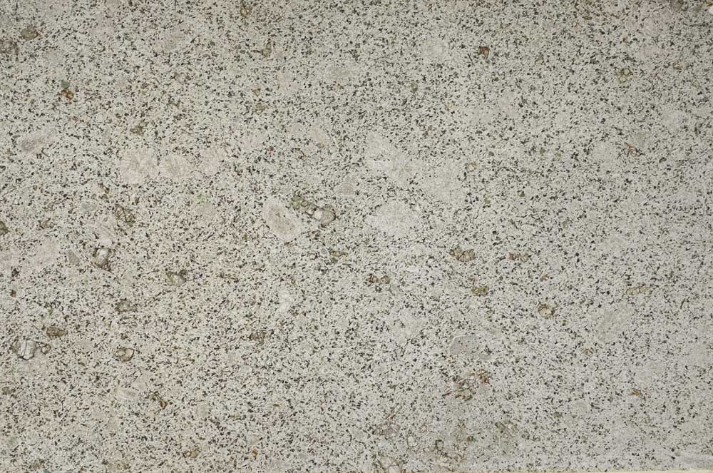 Plane Polarized, S56381