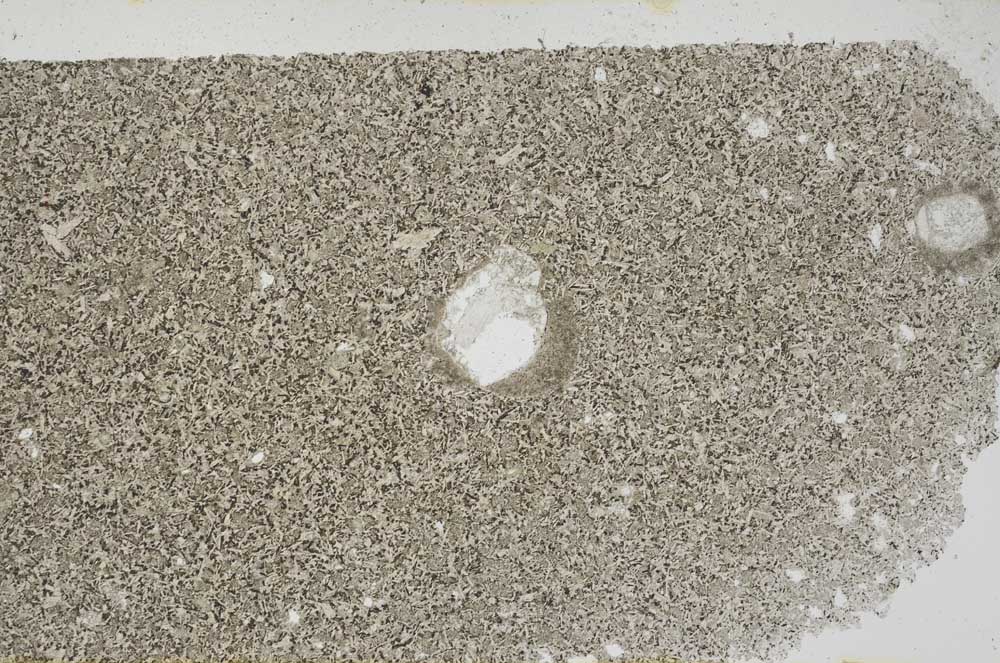 Plane Polarized, S56383