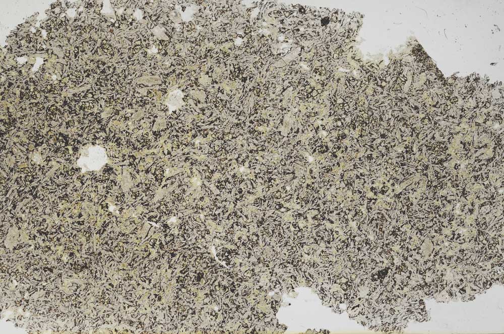 Plane Polarized, S56384