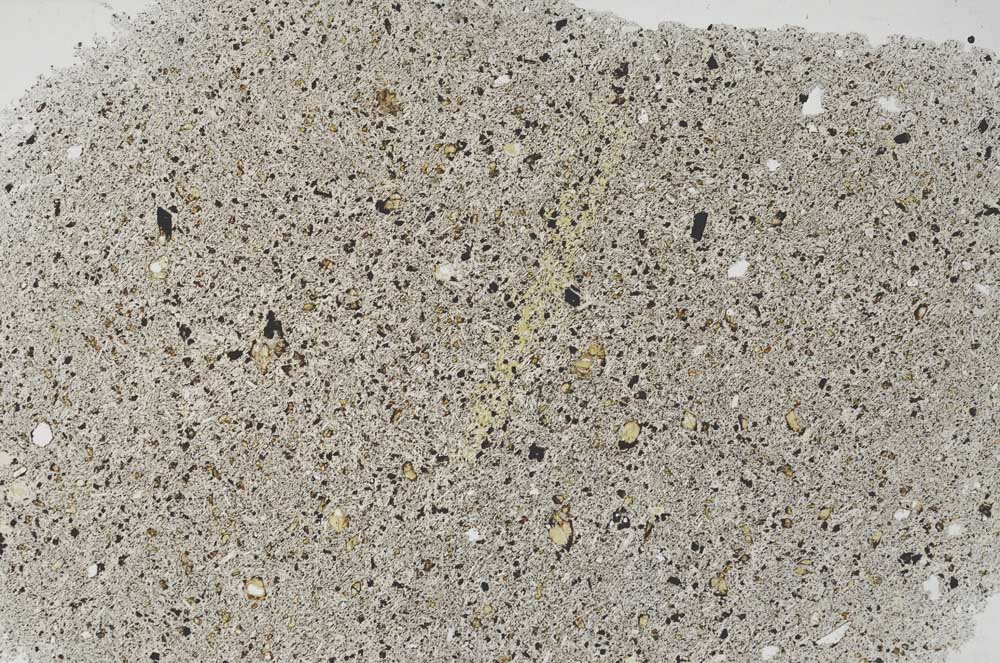 Plane Polarized, S56385