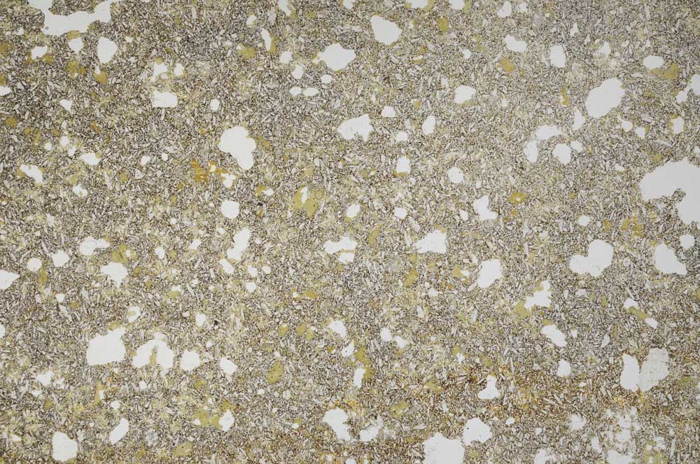 Plane Polarized, S56386