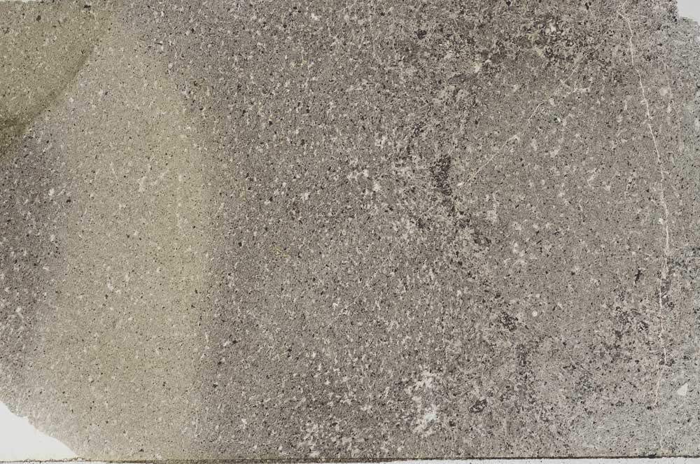 Plane Polarized, S56387