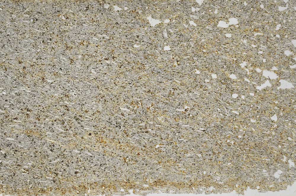 Plane Polarized, S56389