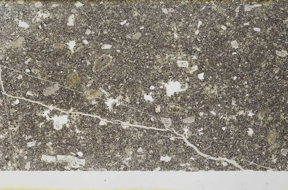 Plane Polarized, S56393