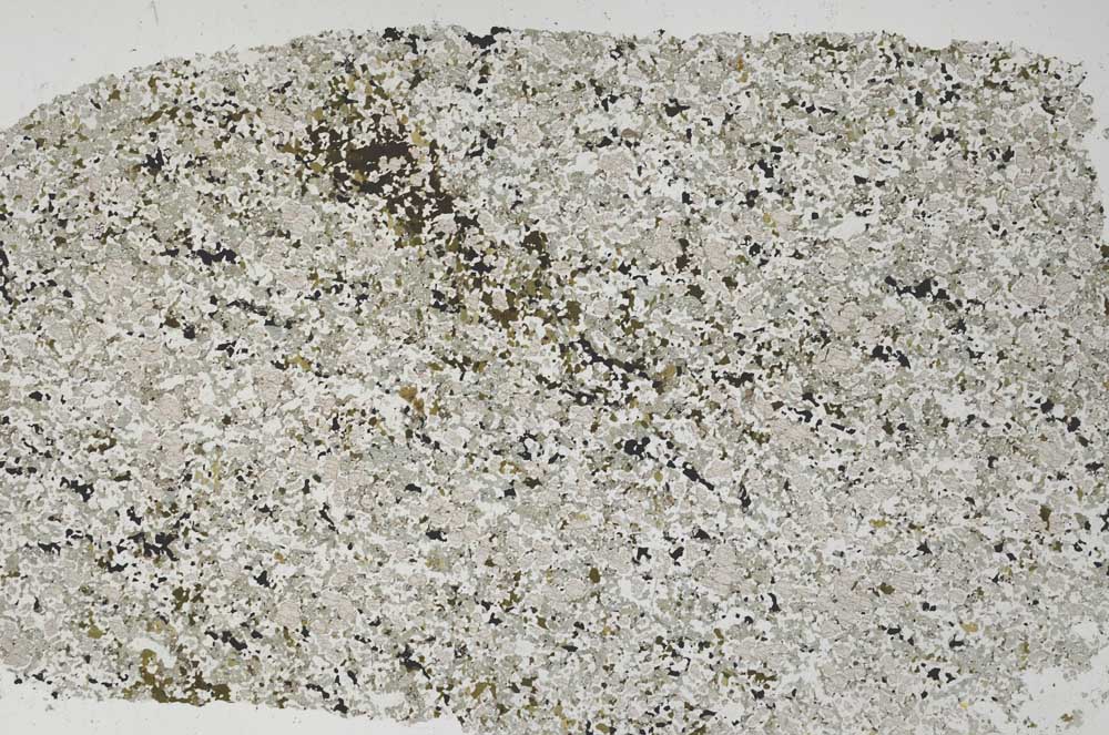 Plane Polarized, S56406