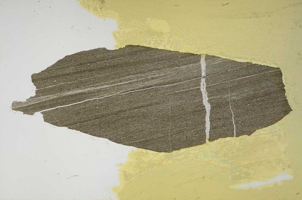 Plane Polarized, S56419
