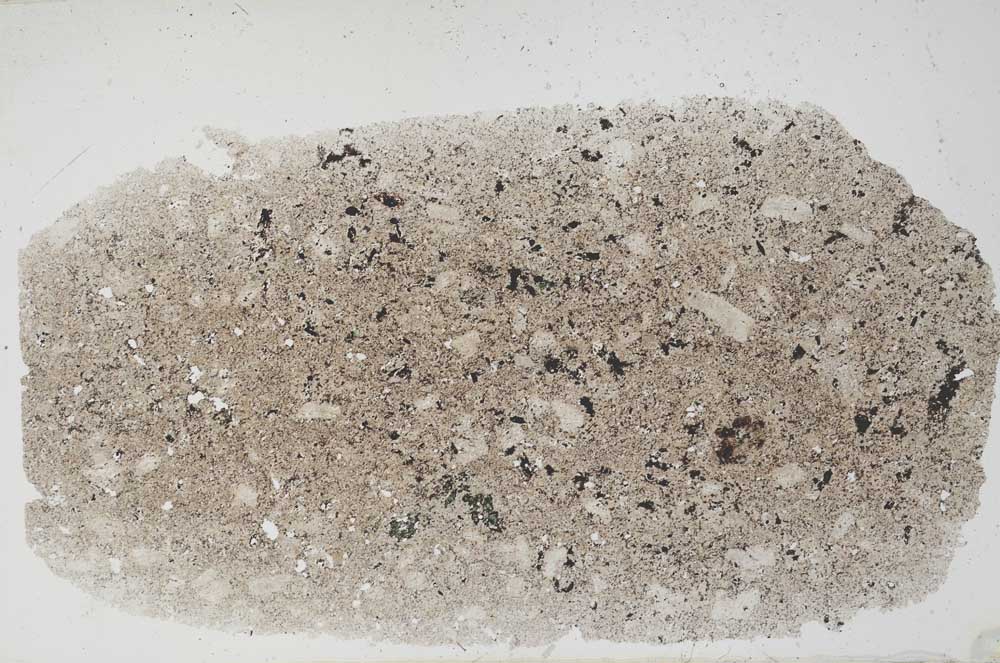 Plane Polarized, S56459