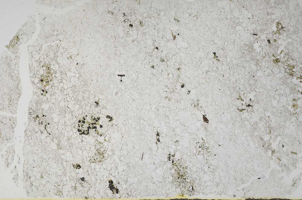Plane Polarized, S56506