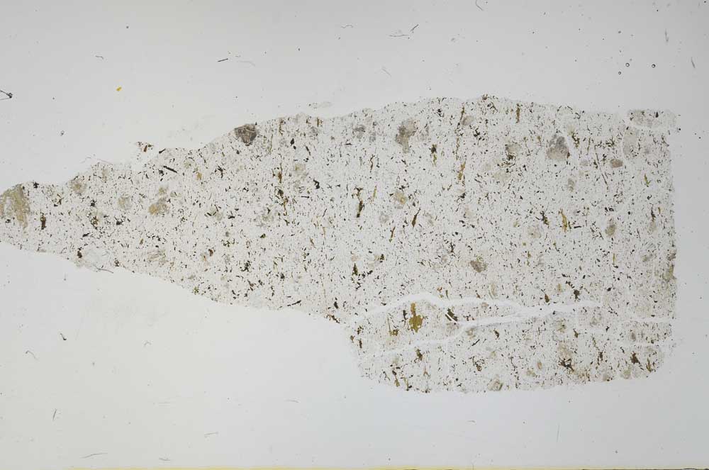 Plane Polarized, S56508