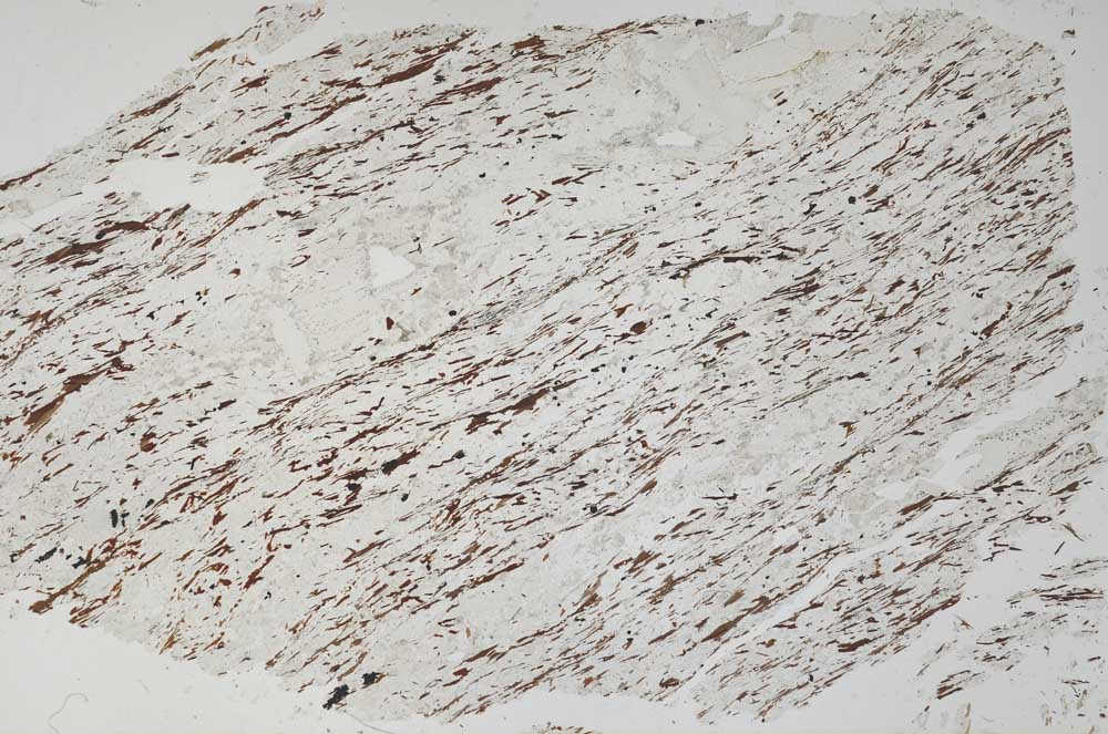Plane Polarized, S56512
