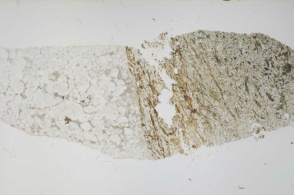 Plane Polarized, S56514