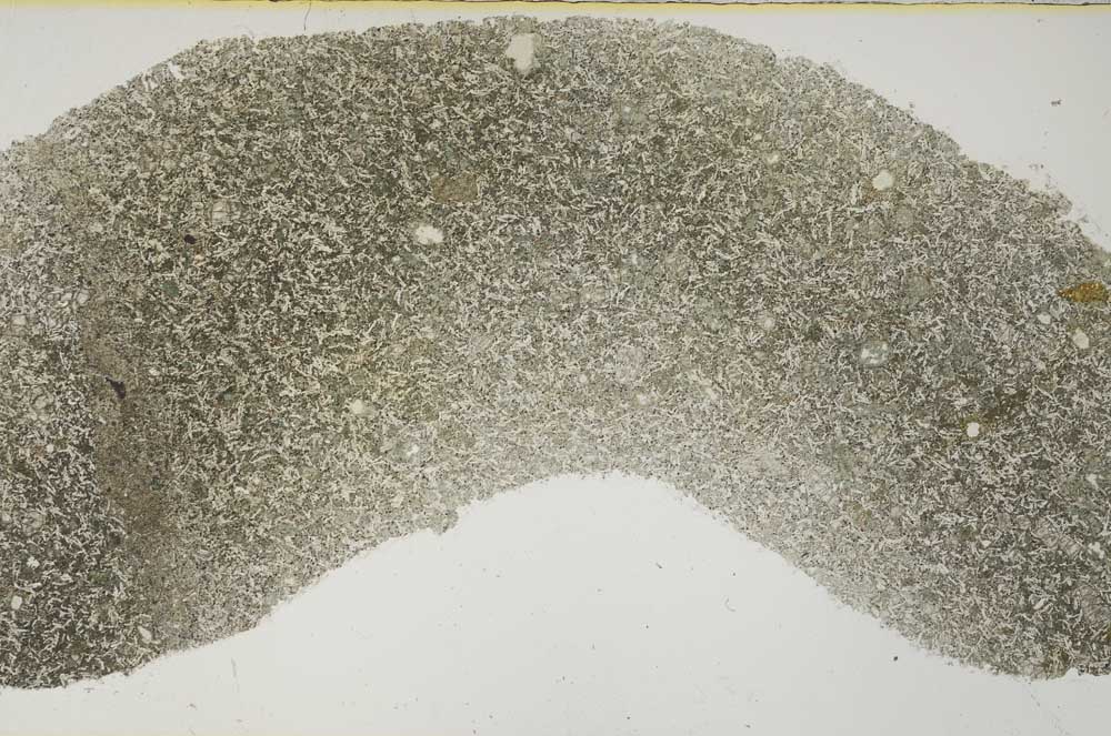 Plane Polarized, S56523