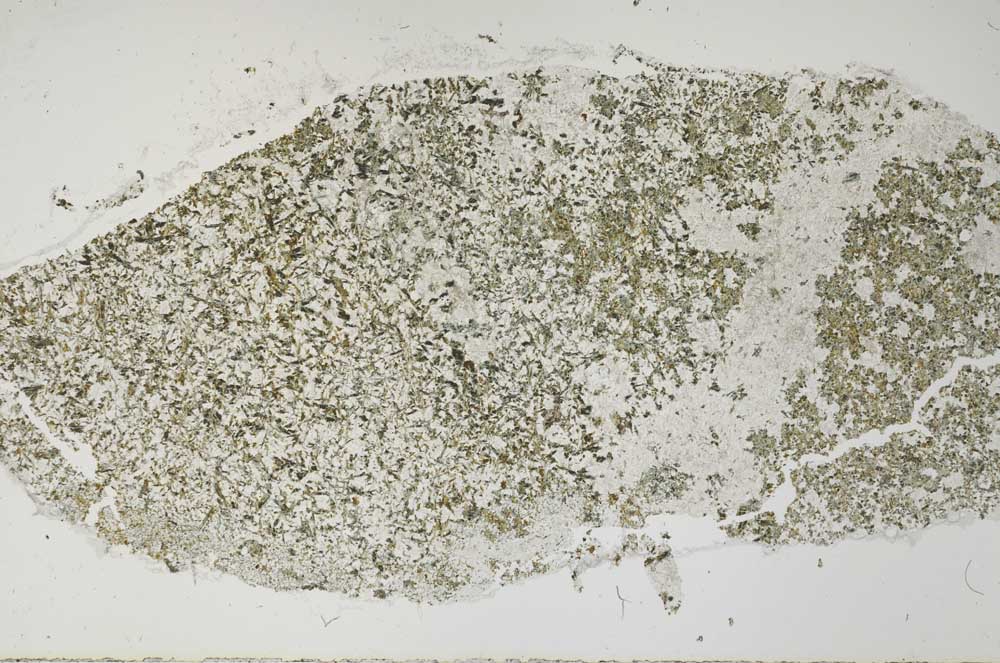 Plane Polarized, S56554