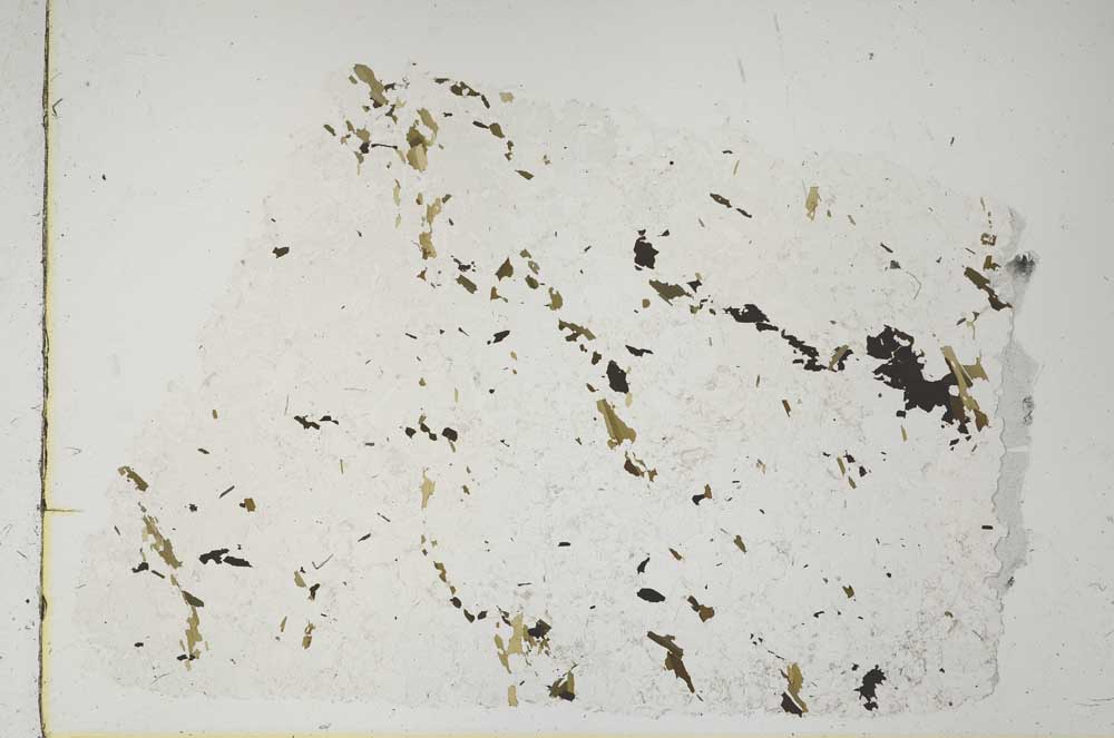 Plane Polarized, S56570