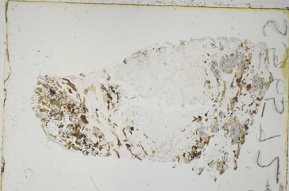 Plane Polarized, S56572