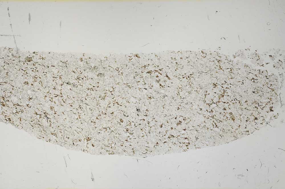 Plane Polarized, S56577