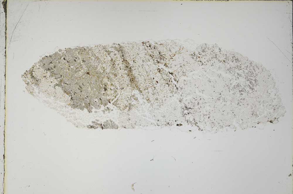 Plane Polarized, S56584