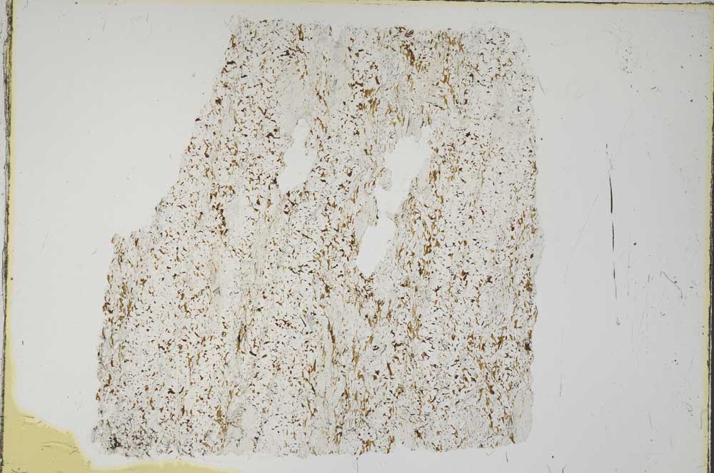 Plane Polarized, S56589