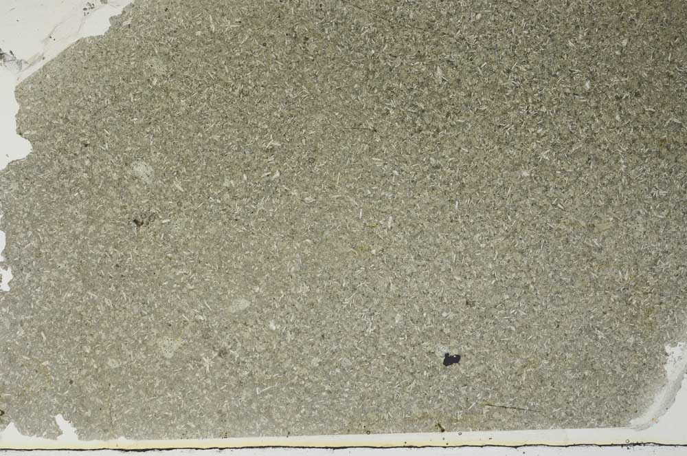 Plane Polarized, S56594