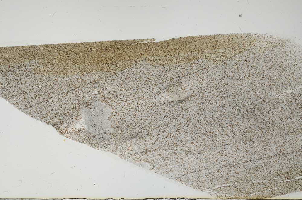 Plane Polarized, S56597