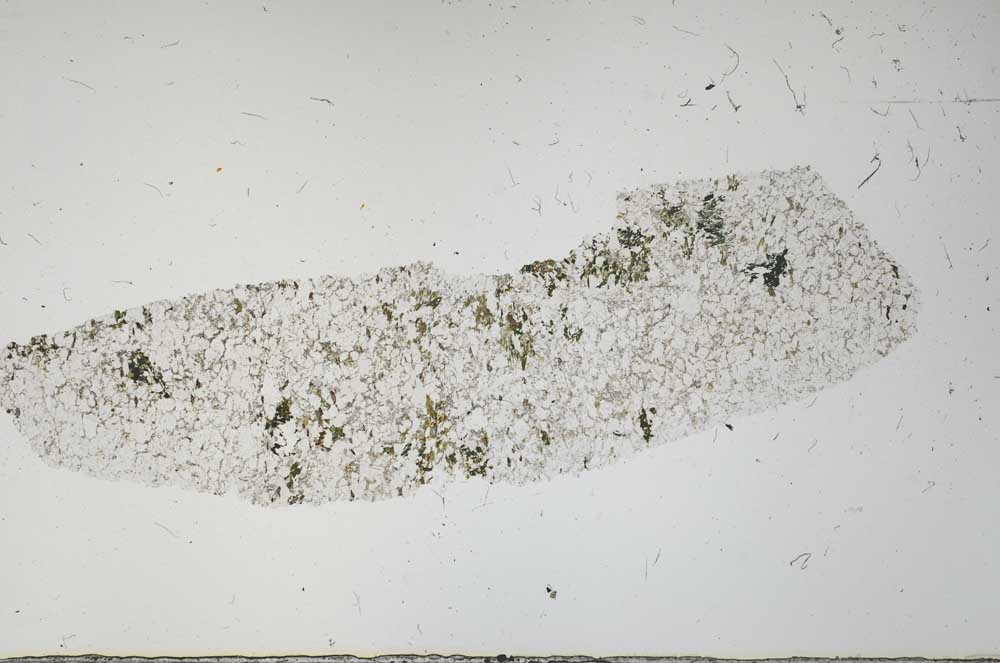 Plane Polarized, S56613
