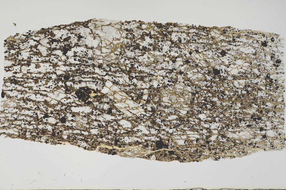 Plane Polarized, S56639