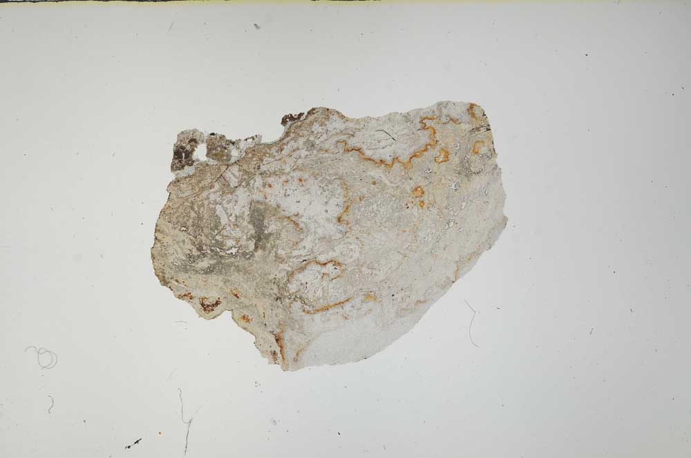 Plane Polarized, S56640