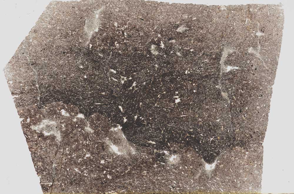 Plane Polarized, S56641