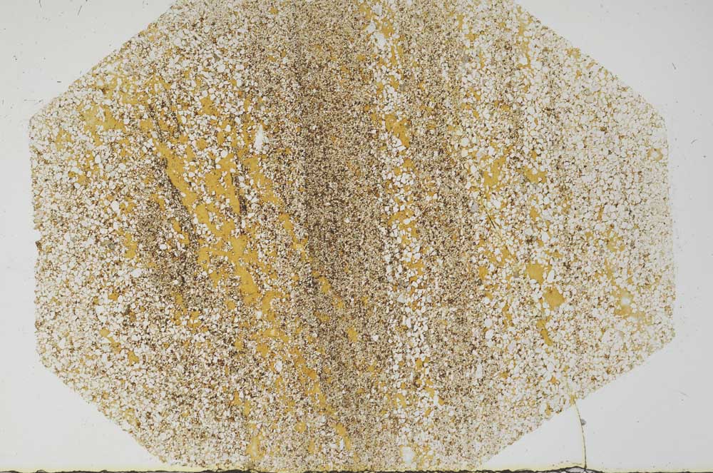 Plane Polarized, S56642