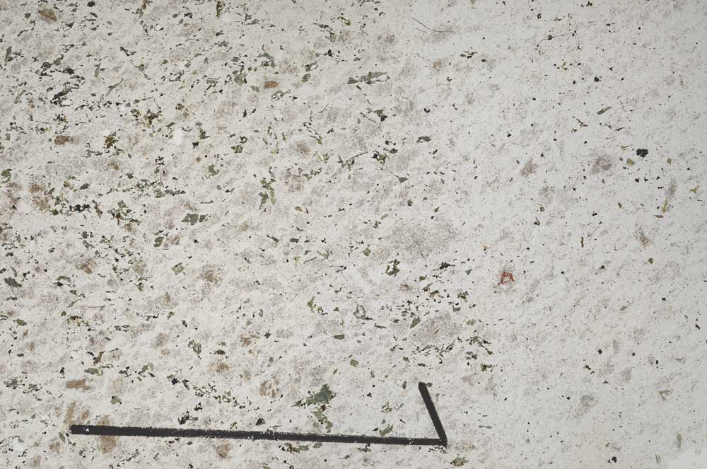 Plane Polarized, S56648/A