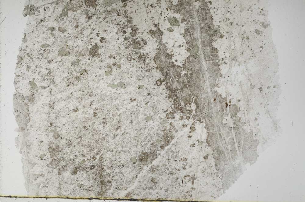 Plane Polarized, S56651