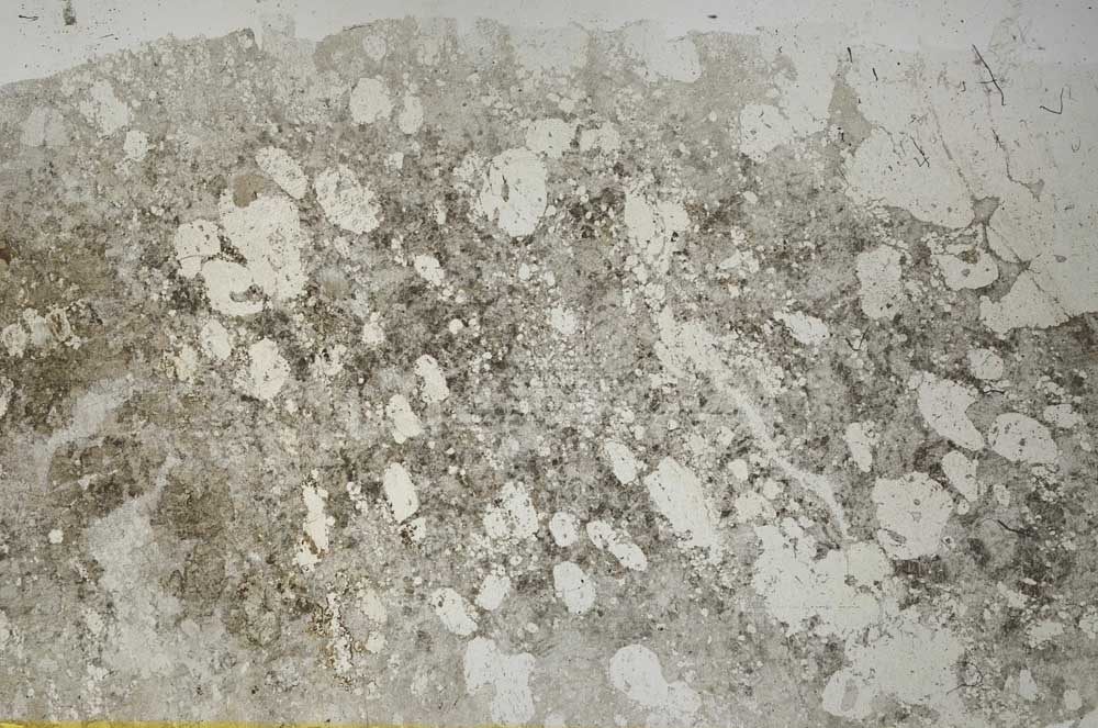 Plane Polarized, S56653