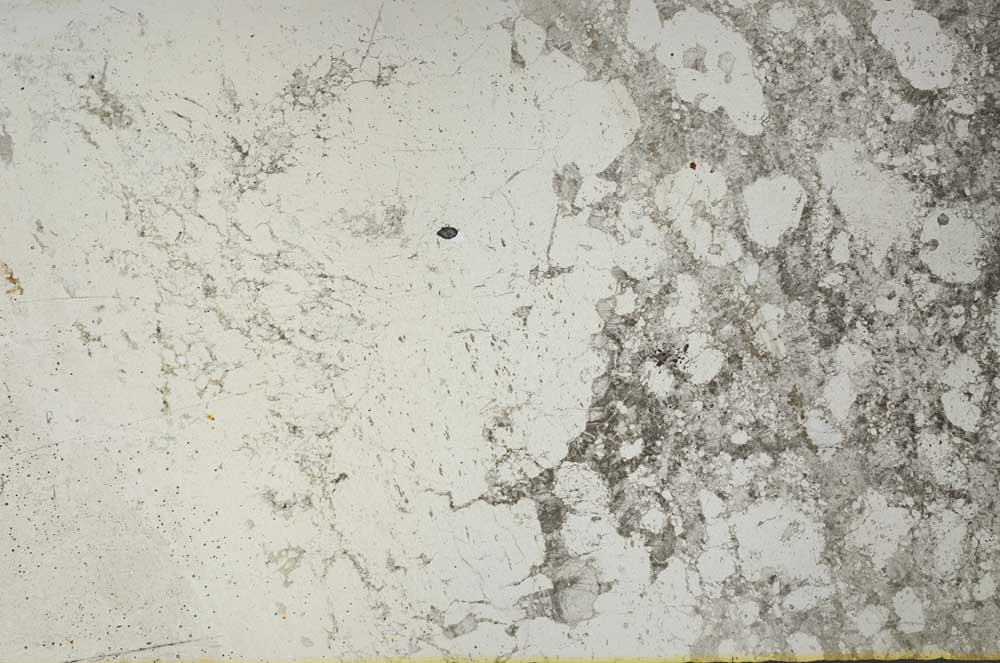 Plane Polarized, S56653/A