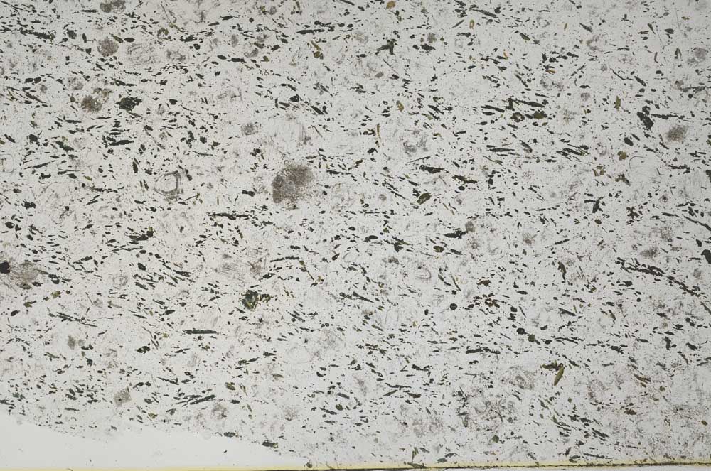 Plane Polarized, S56670