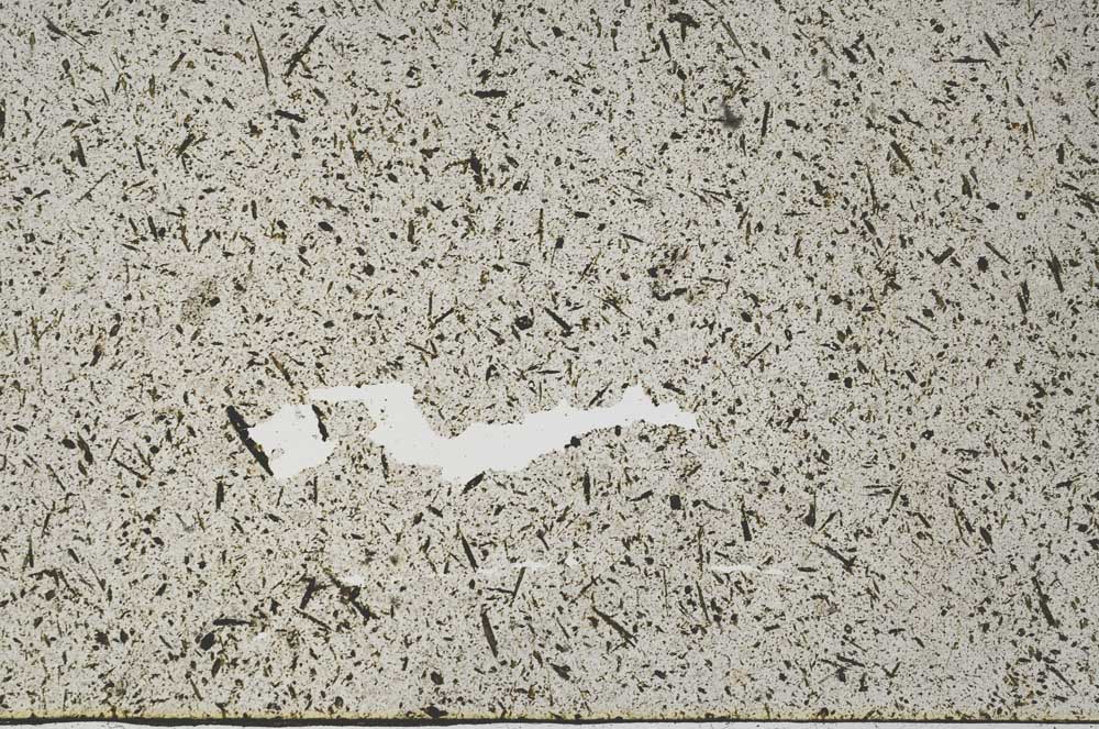 Plane Polarized, S56673
