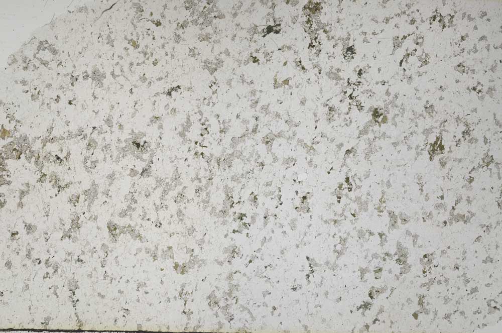 Plane Polarized, S56680