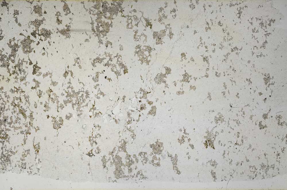 Plane Polarized, S56702
