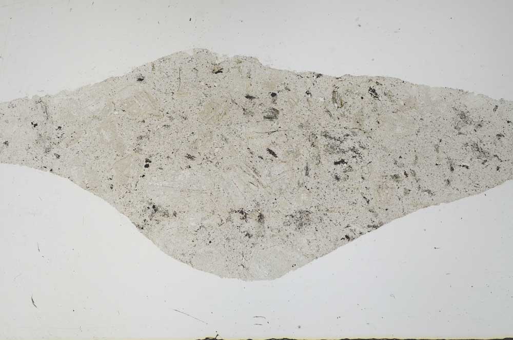 Plane Polarized, S56723