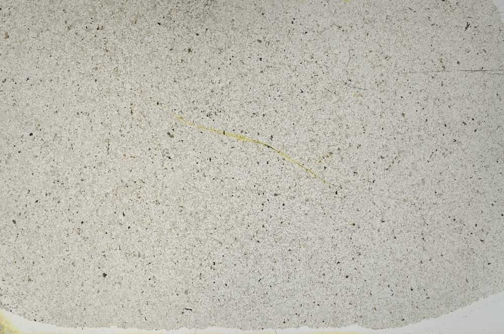 Plane Polarized, S56730