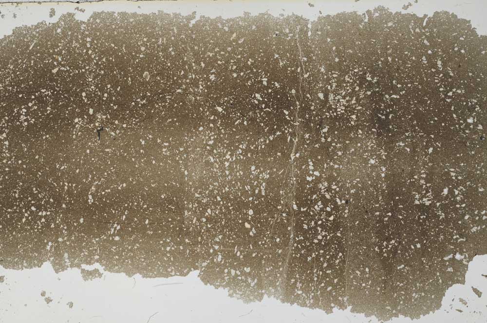 Plane Polarized, S56741