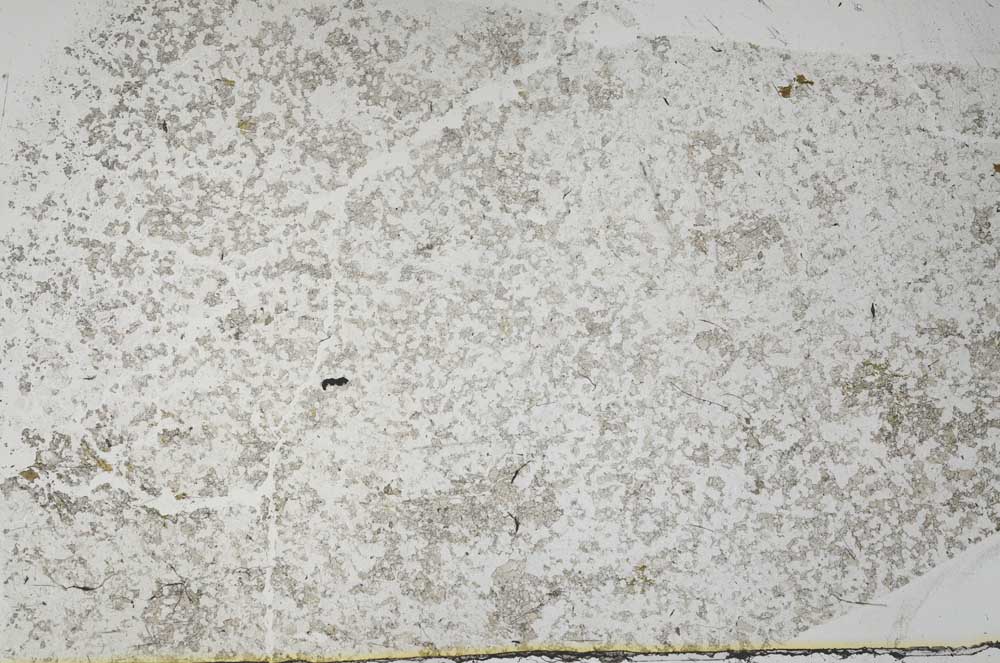Plane Polarized, S56752