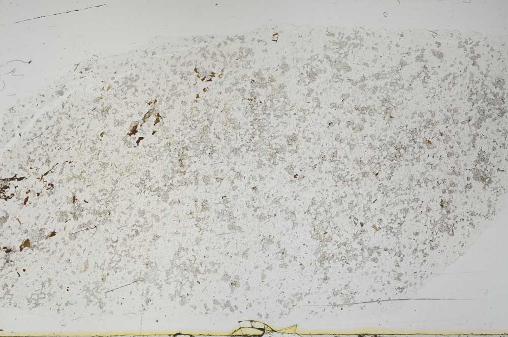 Plane Polarized, S56757