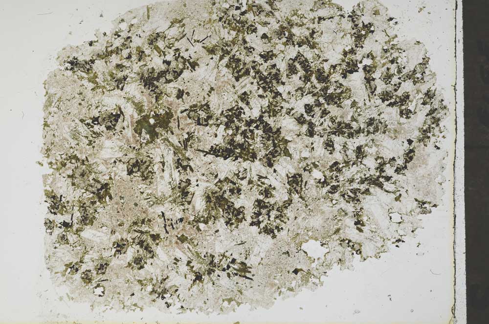 Plane Polarized, S56792/A