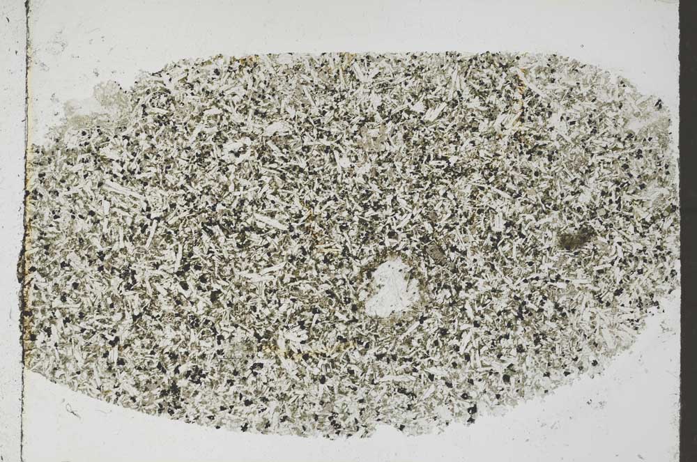 Plane Polarized, S56795