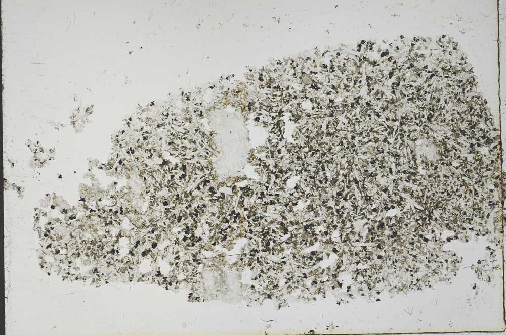 Plane Polarized, S56795/A