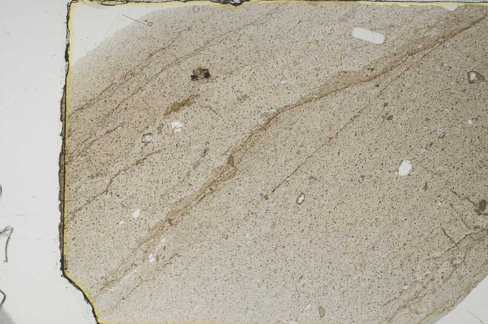 Plane Polarized, S56820