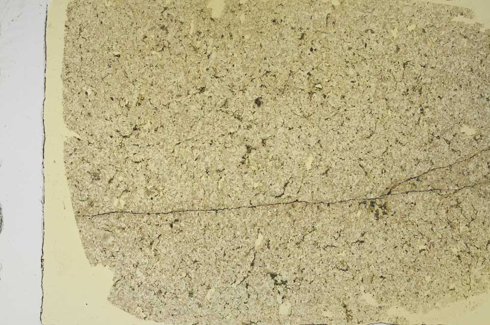 Plane Polarized, S56822