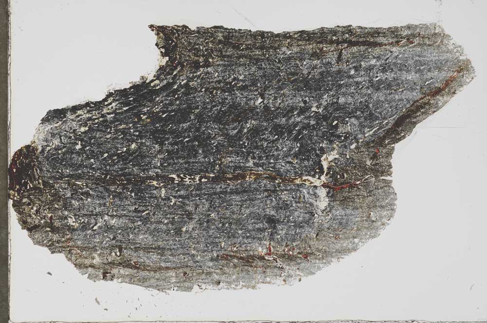 Plane Polarized, S56936