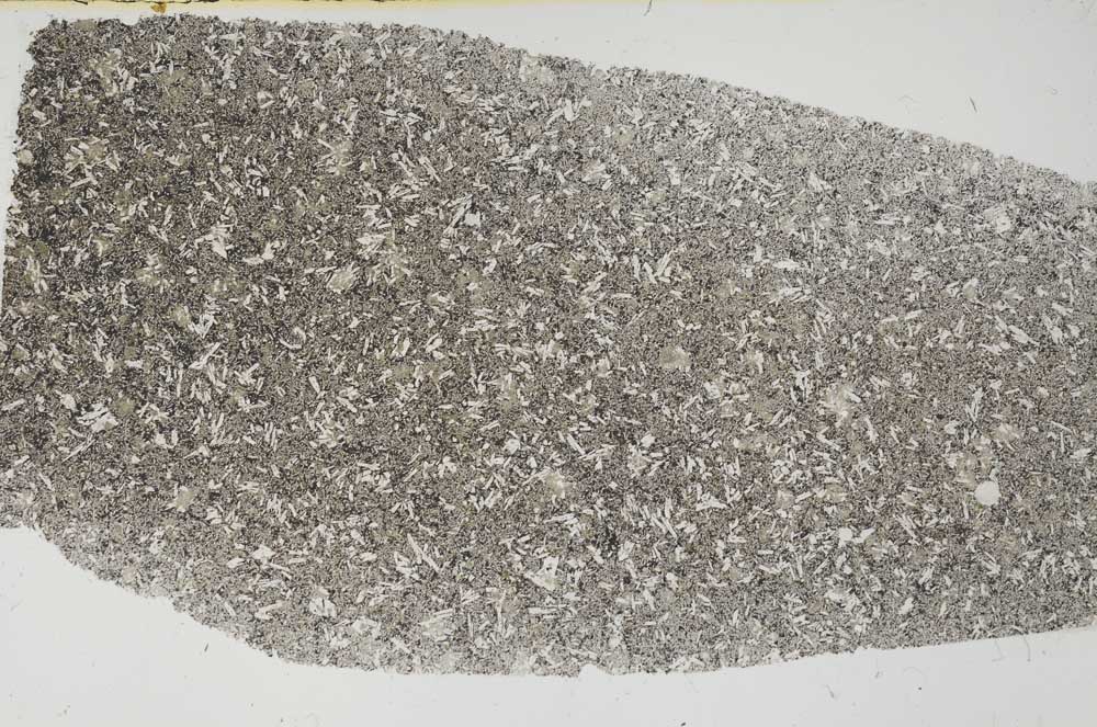 Plane Polarized, S56989