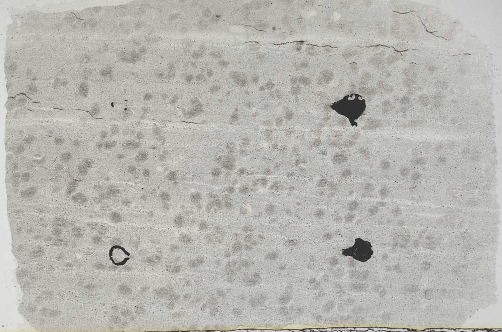 Plane Polarized, S57061